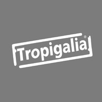 (Under Maintenance)Tropigalia SA logo - Similar company to Instituto Eduardo Torgal