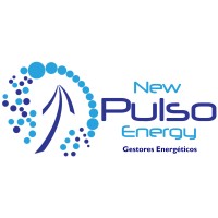 NEW PULSO ENERGY logo - Similar company to Bkm Solutions España