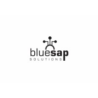 Bluesap Solutions logo - Similar company to Optistar Technology Consultants