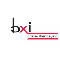 BXI Consultants logo - Similar company to Kirkland West, Llc