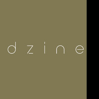 Dzine Interior & Architecture logo - Similar company to Hi Design Studio