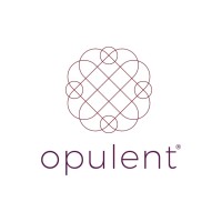 Opulent logo - Similar company to Opulent Solutions