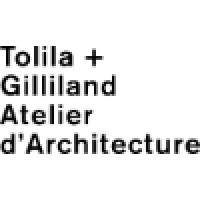 Tolila + Gilliland logo - Similar company to Data Architectes