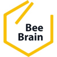 Beebrain