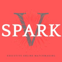 V-Spark Professional-Only Matchmaking Services