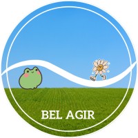 Bel Agir logo - Similar company to Queerstion