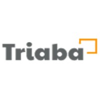Triaba.com logo - Similar company to E-Rewards
