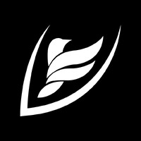 Future Vehicles s.r.o. logo - Similar company to Visualops