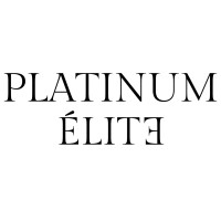 Platinum Elite logo - Similar company to Armanios Architecture Pc