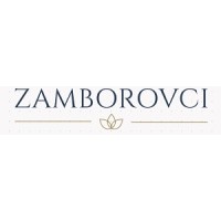 ZAMBOROVCI s. r. o. logo - Similar company to Techsavers