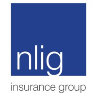 North London Insurance Group logo - Similar company to Bespoke Indemnity Solutions Ltd