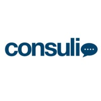 Consulio logo - Similar company to Threshold Capital Sa