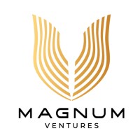 Magnum Ventures logo - Similar company to Franchain