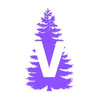 Venture logo - Similar company to Palm Consulting