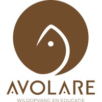 Stichting Avolare