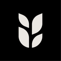 Grain logo - Similar company to Atlas
