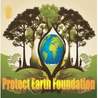 Protect Earth Foundation logo - Similar company to Protect Earth