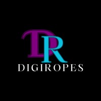 DigiRopes logo - Similar company to Virtual Vision Computing, Llc