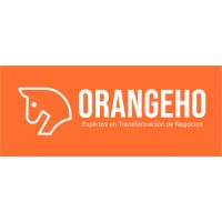 Orange Horse