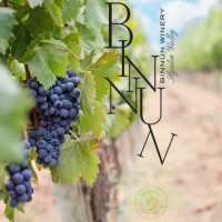 BinNun Winery logo - Similar company to Boa Architecture