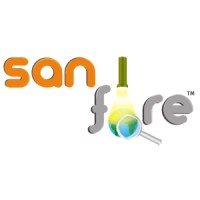SanFire(OPC) Private Limited, Information Technology and Services logo - Similar company to Axion Expert Services Inc