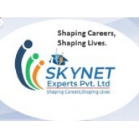 Skynet Experts Pvt Ltd logo - Similar company to Skyler Global Solutions, Operations | Pune | India
