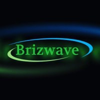 Brizwave Inc logo - Similar company to Lite Technology Solutions, Llc