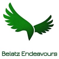 Belatz Endeavours LLC logo - Similar company to Syncap Partners