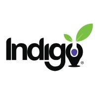 Indigo Education Hispanoamérica logo - Similar company to R8Write Tech