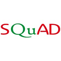 SQUAD logo - Similar company to Cmit Computer Institute