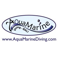 AquaMarine Diving - Bali logo - Similar company to Ocean Eye