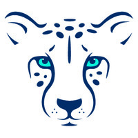 Duma, LLC logo - Similar company to Nbrain Ai