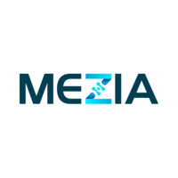 MEZIA logo - Similar company to Lineararc Solutions