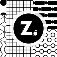 Zesty Illustration & Design logo - Similar company to Souldiosa