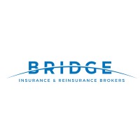 Bridge Insurance and Reinsurance Brokers logo - Similar company to Inter Gulf Insurance Broker - انتر غلف لوساطة التأمين