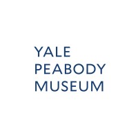 Yale Peabody Museum logo - Similar company to Rokpa