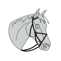 W.P. Equestrian, Llc