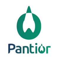 Pantior logo - Similar company to Securelink Ireland