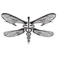 Dragonfly Strategy