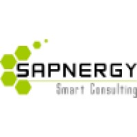 SAPNERGY Consulting SL logo - Similar company to Kps Iberia