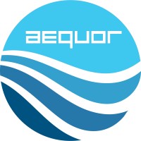 Aequor Information Technologies Pvt. Ltd. logo - Similar company to Aequor