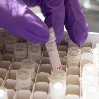 Biomedical Sciences Programs at the University at Buffalo logo - Similar company to Biomedicine Student Research Hub