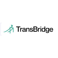 TransBridge Advisors logo - Similar company to Mandelbrot Capital
