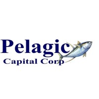 Pelagic Capital Corporation logo - Similar company to Pharmacy