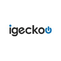 igeckoo logo - Similar company to Woopa Design | Agencia De Publidad Y Marketing Digital En Querétaro