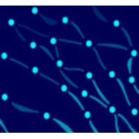 Posidonity logo - Similar company to Ign