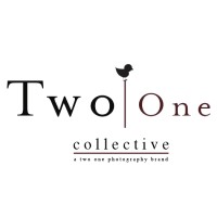 Two One Collective logo - Similar company to Labelle Moments