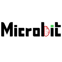 Micro Brain Information Technology logo - Similar company to Mfluid Consulting