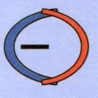 CEOVista (Wizard Management Consultants Pvt Ltd) logo - Similar company to Peer Hunt Inc, An Executive Search Firm