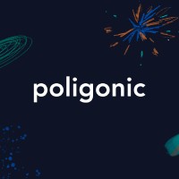 Poligonic logo - Similar company to Kamikaze Studio